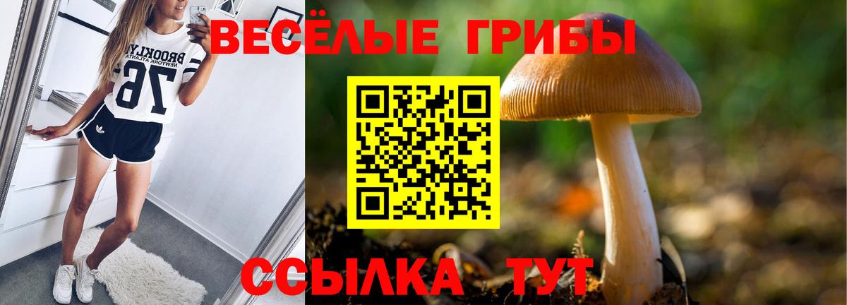 Галлюциногенные грибы прущие грибы Костомукша